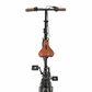 PACTO ELEVEN – Vouwfiets met oversized stalen frame en Shimano Nexus 3 (Zwart / Mint)